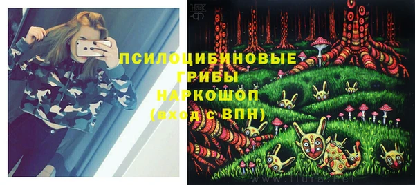 таблы Белокуриха