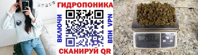 blacksprut ссылка  Нерюнгри  Шишки марихуана ГИДРОПОН 